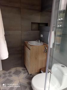 a bathroom with a sink and a toilet at Villa las Águilas 1 in Borrero Ayerbe