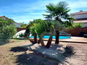 een groep palmbomen voor een zwembad bij Maison familiale avec piscine chauffée in Saint-Georges-de-Didonne