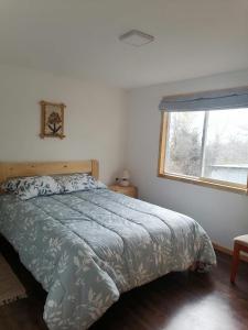 um quarto com uma cama com um edredão azul e uma janela em Cabaña Turismo EL SUSURRO em Coihaique