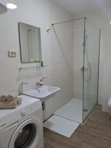 La salle de bains est pourvue d'un lave-linge et d'une douche. dans l'établissement Apartman City kvart, à Podgorica