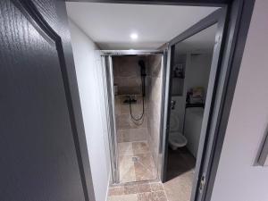 uma cabina de duche ao nível do chão numa casa de banho com WC em Appartement T3 proche mairie, château, et gare em Rambouillet