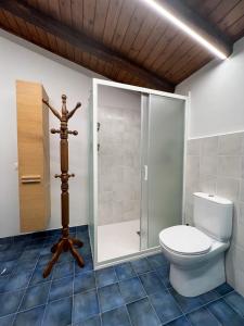 uma casa de banho com um WC e uma cabina de duche em vidro. em The King Ross em Santa Venerina