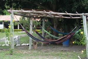 Zahrada ubytování Hotel Bellavista Isla del Sol