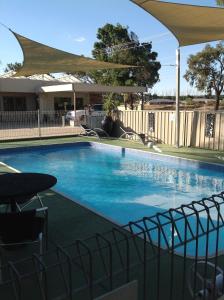 duży basen z niebieską wodą w obiekcie Mia Motel w mieście Griffith