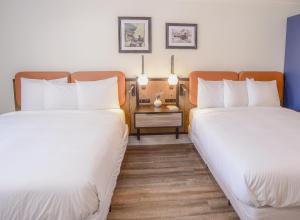 a hotel room with two beds and a side table at The Woodrose- NEWLY RENOVATED in Willits