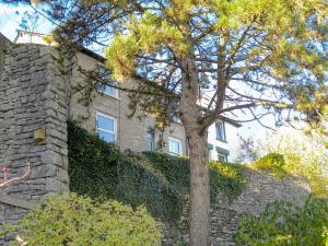 a tree in front of a stone wall with a building at Prospect Terrace in Kendal