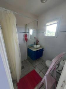 a bathroom with a sink and a toilet and a mirror at grand studio en bas de villa avec vue sur mer au Carbet in Le Carbet