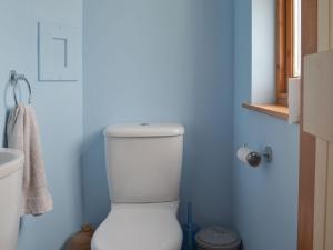 a bathroom with a white toilet in a blue room at Crofts in Badenyon