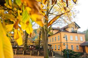 um edifício com uma árvore em frente em Hotel Praha Potštejn em Potštejn