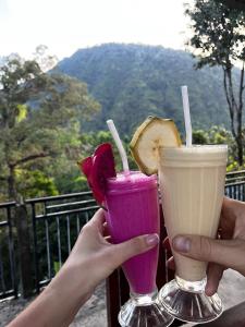 two people holding up two drinks in their hands at Sugi Gede Homestay in Singaraja