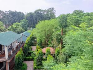 Zahrada ubytování Hotel Butterfly - Peaceful Garden for Nature Lovers