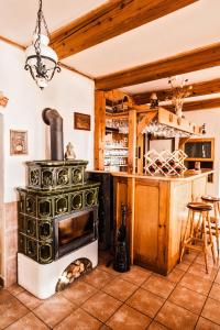 una vecchia stufa in una cucina con bancone di Penzion Kozel - Herlíkovice Krkonoše a Vrchlabí