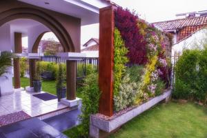 Zahrada ubytování Villa Emilia Hostal
