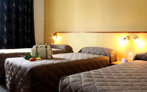 ein Hotelzimmer mit 2 Betten und einer Tasche auf dem Tisch in der Unterkunft Hôtel Florida in Lourdes