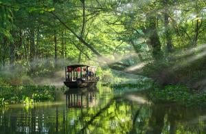 una barca che galleggia lungo un fiume in una foresta di Banyan Tree Hangzhou a Hangzhou