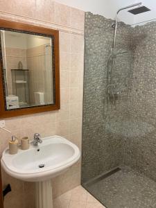 ein Bad mit einer Dusche, einem Waschbecken und einem Spiegel in der Unterkunft Casa Luisini in Mondovì