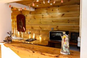 小島市的住宿－LE TUIT TUIT，厨房设有木墙和带炉灶的台面。