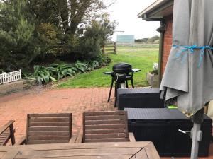 Allansford的住宿－Lanaud Farm Stay，砖砌庭院的烧烤架,配有两把椅子