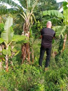a man is standing next to a banana tree at Ridge Boundary View in Dambulla