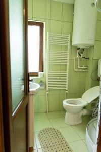 a bathroom with a toilet and a sink and a window at Pensiunea Novac in Durau