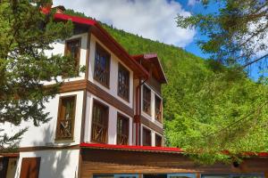 uma casa com uma colina ao fundo em İSKALİTA Otel em Altındere