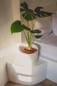 a plant in a white pot sitting next to a bed at Flower House B&B in Jiufen