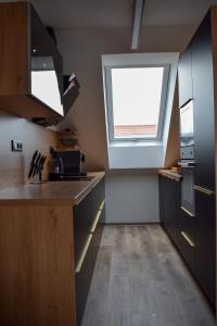 Kuchyň nebo kuchyňský kout v ubytování Apartmány Pod Novou