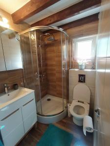 a bathroom with a shower and a toilet and a sink at Biały Domek koło Żywca in Pewel Wielka