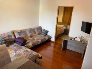 a living room with a couch and a television at Apartments Dumina in Murter