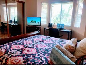 赫米特的住宿－Countryside Colt Suite with private bathroom，一间卧室配有一张床、一台电视和一张书桌