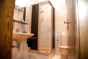 bagno con doccia, lavandino e servizi igienici di Haus Kohl a Semmering