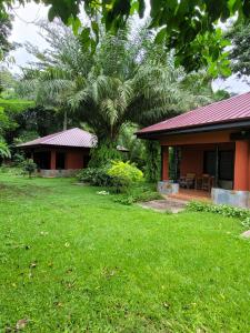 a house with a palm tree in front of a yard at Big Foot Safari Lodge in Wli Afegame