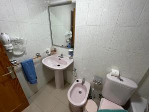 ein kleines Badezimmer mit Toilette und Waschbecken in der Unterkunft Apartamento colón arinaga in Arinaga + 8 Fotos