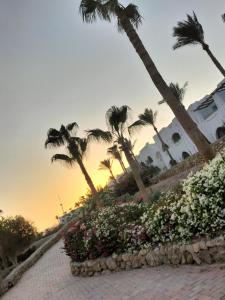 einen Weg mit Blumen und Palmen und einem Gebäude in der Unterkunft Coral Bay Roby in Sharm El Sheikh