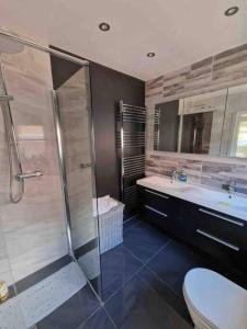 ein Bad mit einer Dusche, einem WC und einem Waschbecken in der Unterkunft Lovely studio annex in Lilliput in Poole