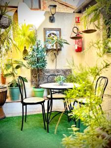 une table et des chaises dans un patio orné de plantes dans l'établissement Hôtel Paul Riquet, à Béziers