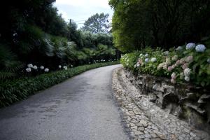 Foto da galeria de Quinta de Valverde em Viana do Castelo