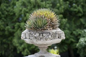 Um jardim em Quinta de Valverde