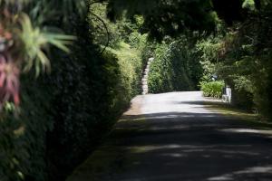 Foto da galeria de Quinta de Valverde em Viana do Castelo