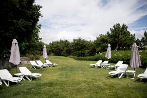 Um jardim em Quinta de Valverde