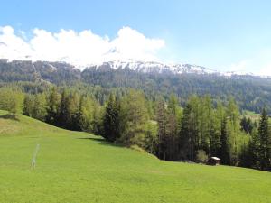 a green field with trees and mountains in the background at Studio 3 pers. au pied des pistes avec balcon exposé sud, draps fournis, proche commerces - FR-1-508-76 in Lanslevillard +2 photos