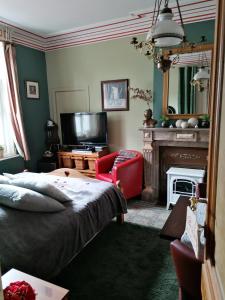 um quarto com uma cama, uma lareira e uma televisão em Maison d'hôte Les Notes Endormie Chambre Secrète em Berzée