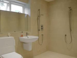 a bathroom with a shower and a toilet and a sink at Studio Quercus in Todenham