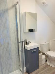 La salle de bains est pourvue de toilettes, d'un lavabo et d'une douche. dans l'établissement 4 bedroom House nr Cardiff City Centre, à Cardiff