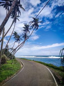 a road next to the ocean with palm trees at Nil Diya Beach Resort in Matara