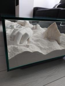 a glass table with sand and seashells on it at DAVID's studio in Timişoara