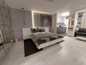 1 dormitorio con 1 cama grande y 1 sofá en DAVID's studio en Timişoara