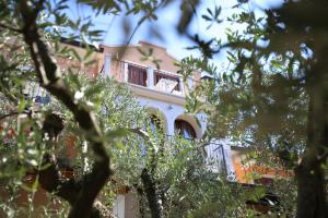 Villa Dobravac Wine Estate外面的花园