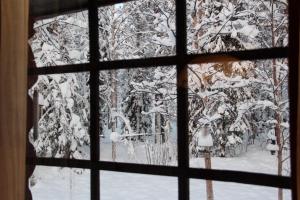 ein Fenster mit Blick auf einen schneebedeckten Wald von einem Haus aus in der Unterkunft Kopistus in Syöte