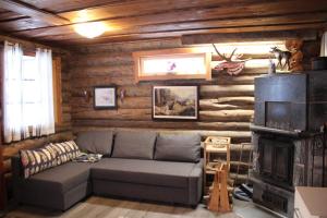 Χώρος καθιστικού στο Kopistus +16 φωτογραφίες